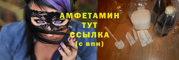 индика Верея